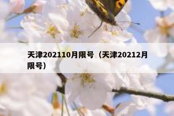 天津202110月限号（天津20212月限号） 第1张