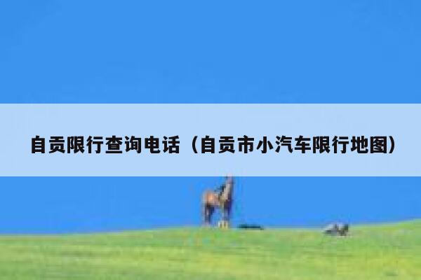 自贡限行查询电话（自贡市小汽车限行地图） 第1张
