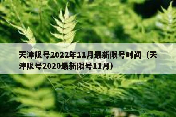 天津限号2022年11月最新限号时间（天津限号2020最新限号11月） 第1张