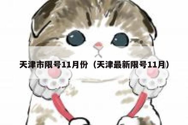 天津市限号11月份（天津最新限号11月） 第1张