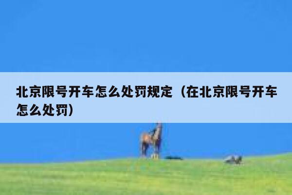 北京限号开车怎么处罚规定（在北京限号开车怎么处罚） 第1张