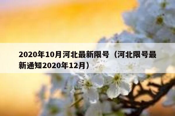 2020年10月河北最新限号（河北限号最新通知2020年12月） 第1张