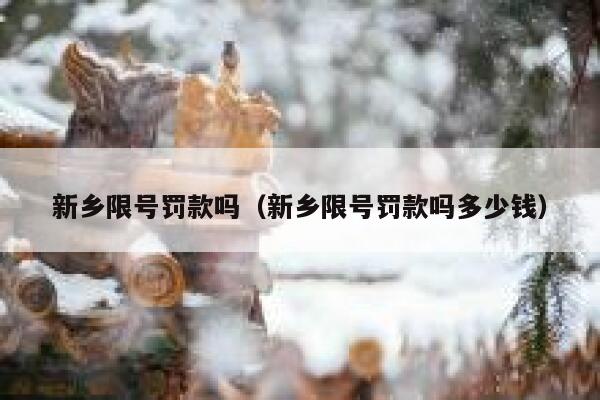 新乡限号罚款吗（新乡限号罚款吗多少钱） 第1张