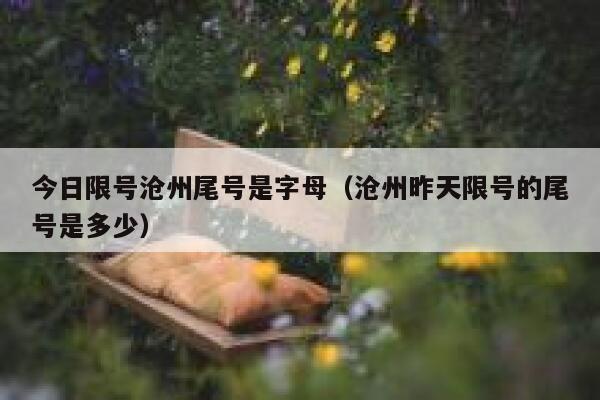 今日限号沧州尾号是字母（沧州昨天限号的尾号是多少） 第1张