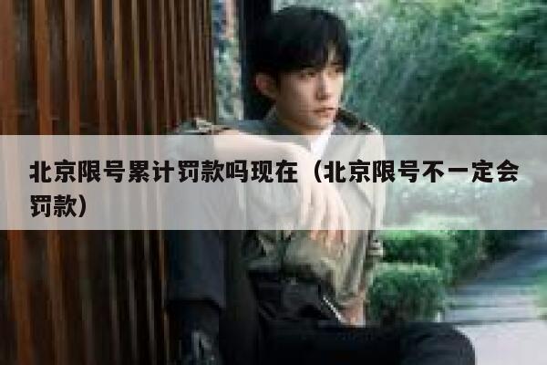 北京限号累计罚款吗现在（北京限号不一定会罚款） 第1张