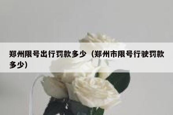 郑州限号出行罚款多少（郑州市限号行驶罚款多少） 第1张