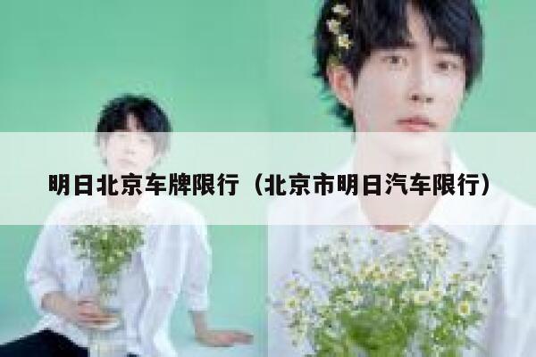 明日北京车牌限行（北京市明日汽车限行） 第1张