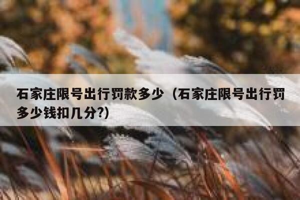 石家庄限号出行罚款多少（石家庄限号出行罚多少钱扣几分?） 第1张