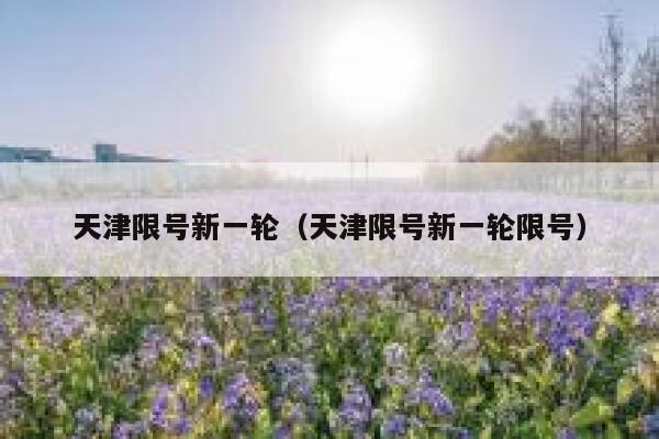 天津限号新一轮(天津限号新一轮限号) 第1张 天津限号新一轮(天津限号新一轮限号) 第1张