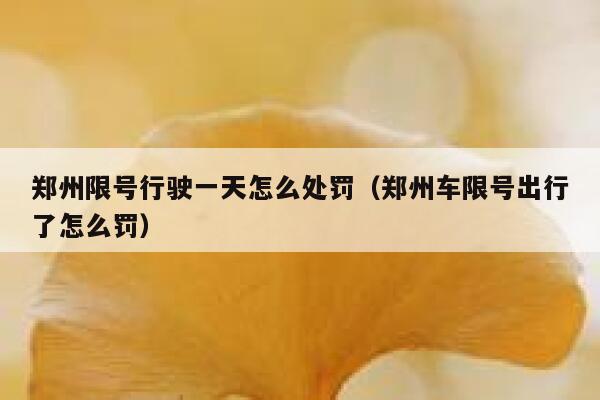 郑州限号行驶一天怎么处罚(郑州车限号出行了怎么罚) 第1张 郑州限号行驶一天怎么处罚(郑州车限号出行了怎么罚) 第1张