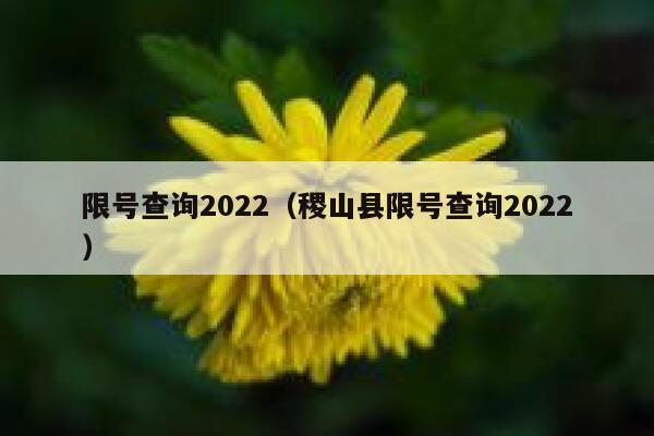限号查询2022（稷山县限号查询2022） 第1张