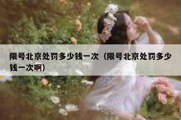 限号北京处罚多少钱一次（限号北京处罚多少钱一次啊） 第1张