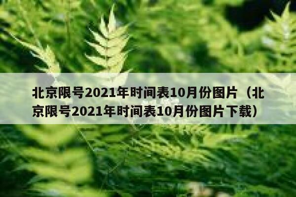 北京限号2021年时间表10月份图片（北京限号2021年时间表10月份图片下载） 第1张