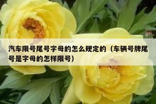 汽车限号尾号字母的怎么规定的（车辆号牌尾号是字母的怎样限号） 第1张