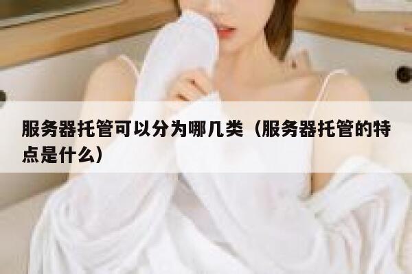 服务器托管可以分为哪几类（服务器托管的特点是什么） 第1张