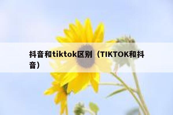 抖音和tiktok区别（TIKTOK和抖音） 第1张