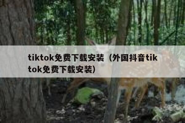 tiktok免费下载安装（外国抖音tiktok免费下载安装） 第1张