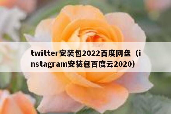 twitter安装包2022百度网盘（instagram安装包百度云2020） 第1张