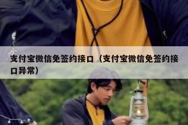支付宝微信免签约接口（支付宝微信免签约接口异常） 第1张