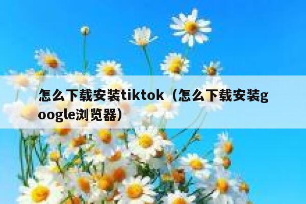 怎么下载安装tiktok（怎么下载安装google浏览器） 第1张