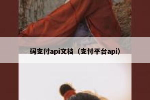 码支付api文档（支付平台api） 第1张