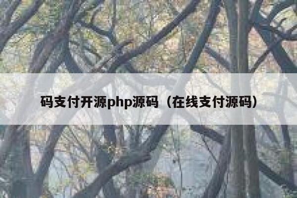 码支付开源php源码（在线支付源码） 第1张
