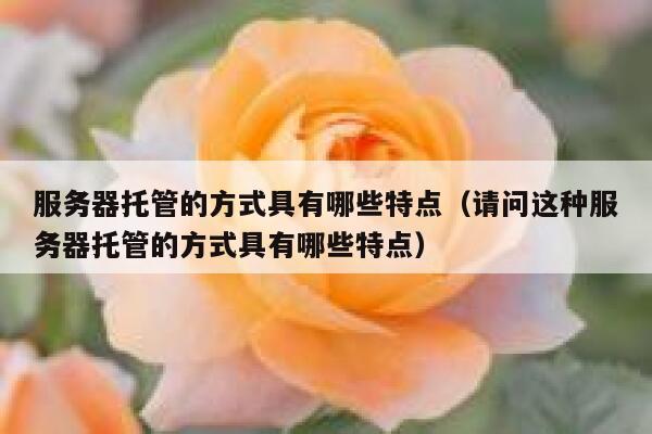 服务器托管的方式具有哪些特点（请问这种服务器托管的方式具有哪些特点） 第1张