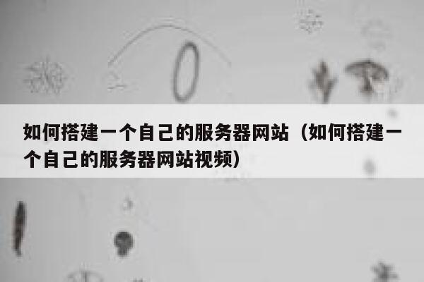 如何搭建一个自己的服务器网站（如何搭建一个自己的服务器网站视频） 第1张