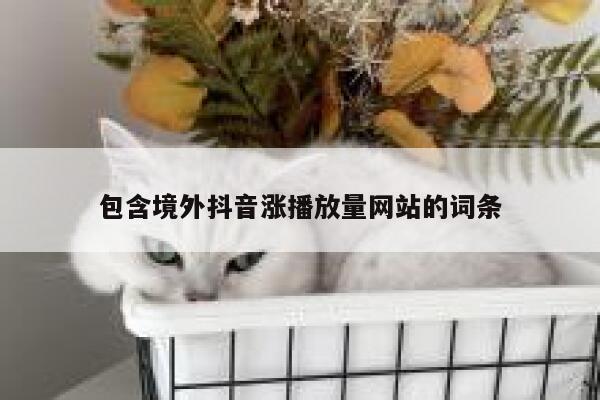包含境外抖音涨播放量网站的词条 第1张