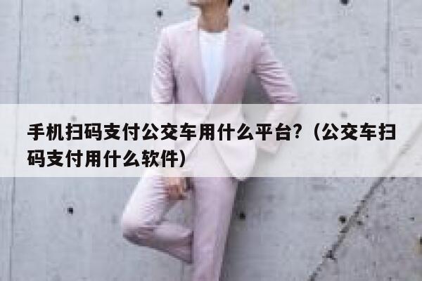 手机扫码支付公交车用什么平台?（公交车扫码支付用什么软件） 第1张