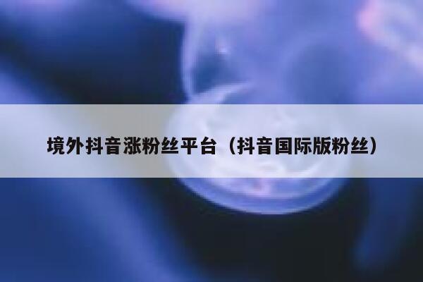 境外抖音涨粉丝平台（抖音国际版粉丝） 第1张