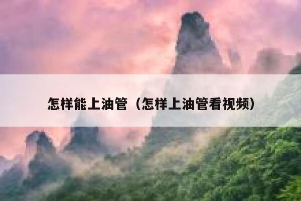 怎样能上油管（怎样上油管看视频） 第1张