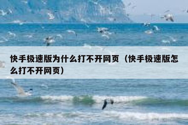 快手极速版为什么打不开网页（快手极速版怎么打不开网页） 第1张