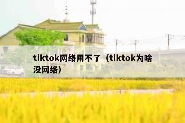 tiktok网络用不了(tiktok为啥没网络) 第1张 tiktok网络用不了(tiktok为啥没网络) 第1张