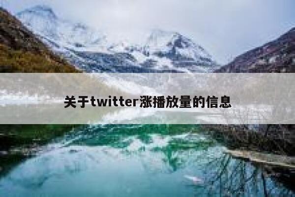 关于twitter涨播放量的信息 第1张