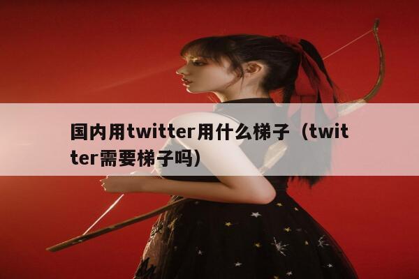 国内用twitter用什么梯子（twitter需要梯子吗） 第1张