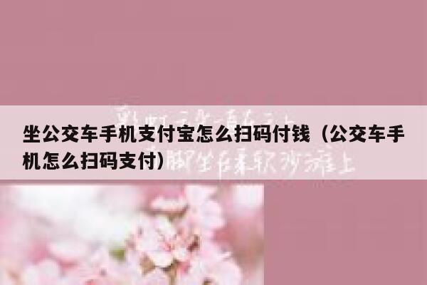 坐公交车手机支付宝怎么扫码付钱（公交车手机怎么扫码支付） 第1张