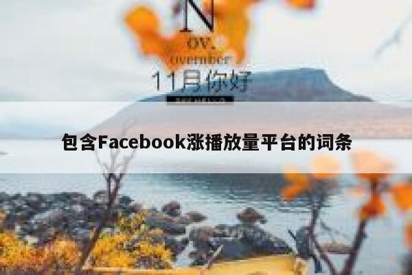 包含Facebook涨播放量平台的词条 第1张