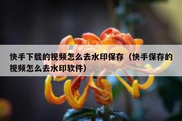 快手下载的视频怎么去水印保存（快手保存的视频怎么去水印软件） 第1张