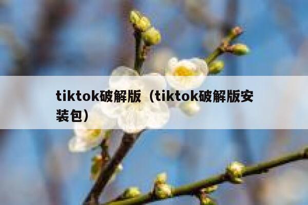 tiktok破解版（tiktok破解版安装包） 第1张