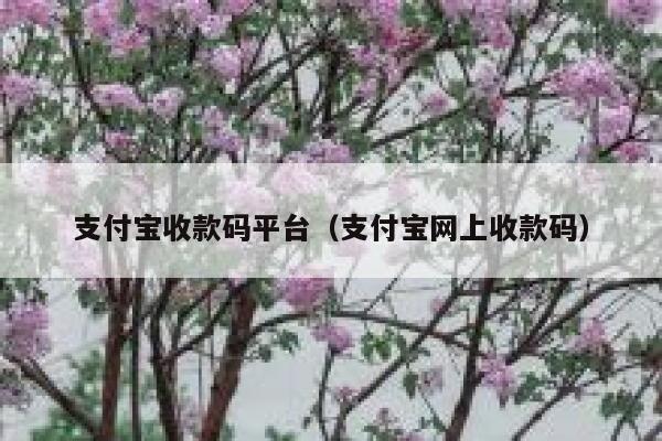支付宝收款码平台（支付宝网上收款码） 第1张