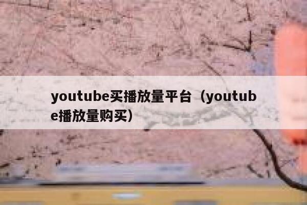 youtube买播放量平台（youtube播放量购买） 第1张