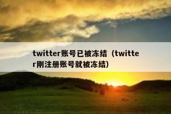 twitter账号已被冻结(twitter刚注册账号就被冻结) 第1张 twitter账号已被冻结(twitter刚注册账号就被冻结) 第1张