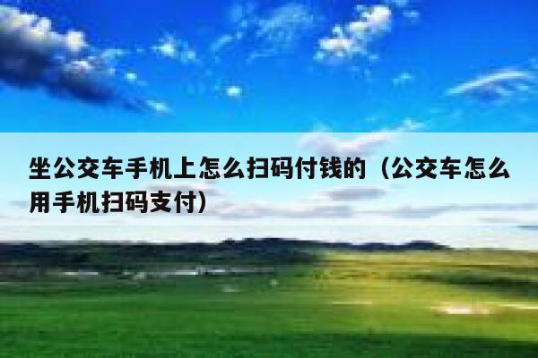 坐公交车手机上怎么扫码付钱的（公交车怎么用手机扫码支付） 第1张
