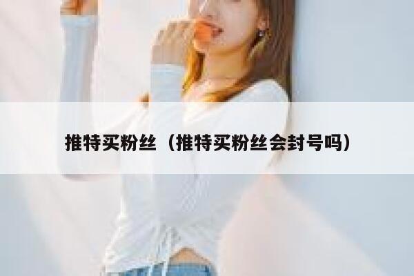 推特买粉丝（推特买粉丝会封号吗） 第1张