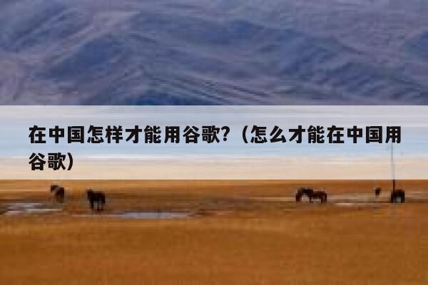 在中国怎样才能用谷歌?（怎么才能在中国用谷歌） 第1张