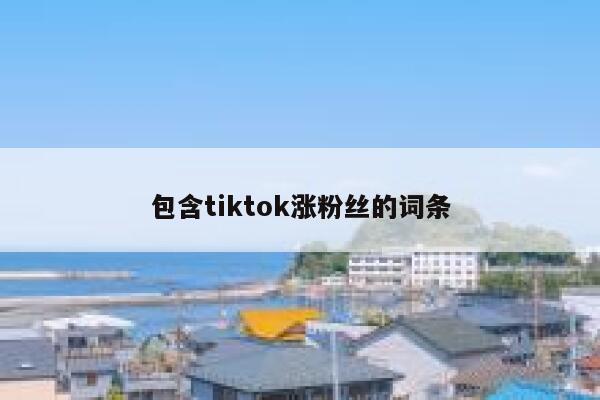 包含tiktok涨粉丝的词条 第1张
