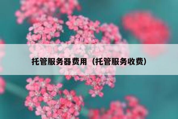 托管服务器费用（托管服务收费） 第1张