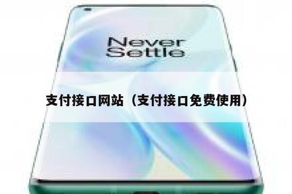 支付接口网站（支付接口免费使用） 第1张