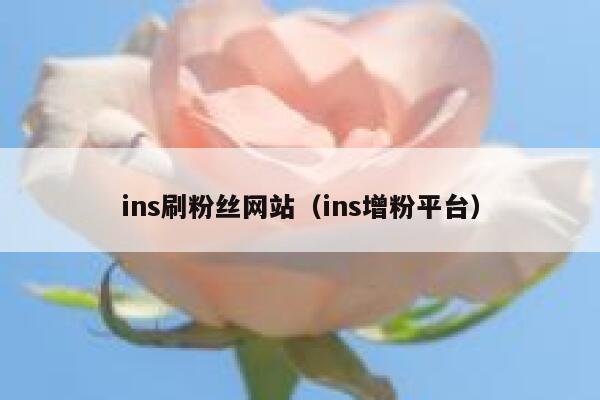 ins刷粉丝网站（ins增粉平台） 第1张